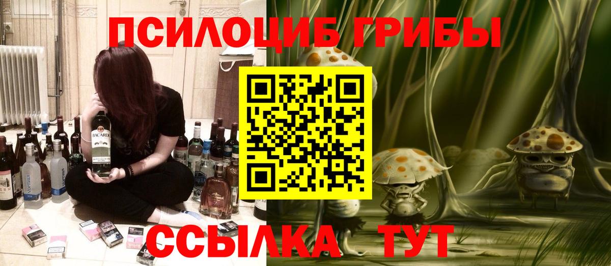 Меф Прокопьевск